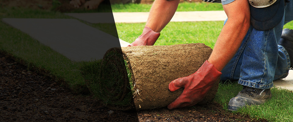 Fort Thomas Landscapers